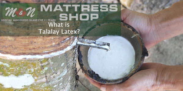 what-is-talalay-latex