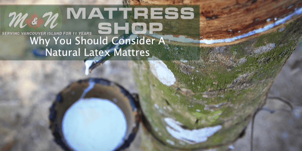 why-consider-a-natural-latex-mattress