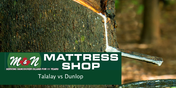 talalay-vs-dunlop-latex